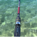 Shimano Καλάμι Engetsu Bait Casting Tai Rubber 40-150gr 2,06m Καλάμια Tai-Rubber