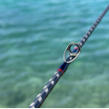 Shimano Καλάμι Engetsu Bait Casting Tai Rubber 40-150gr 2,06m Καλάμια Tai-Rubber
