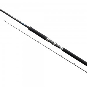 Shimano Καλάμι Salty Advance 100gr 3.05m